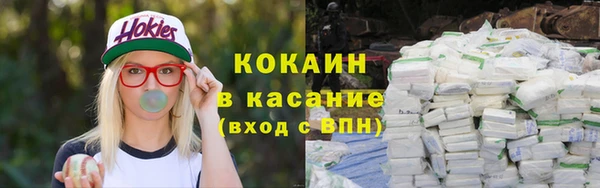 соль ск Богданович