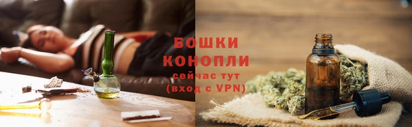 соль ск Богданович