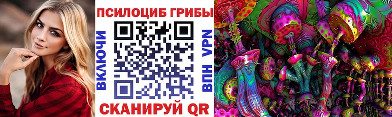 маркетплейс состав  Волгореченск  Галлюциногенные грибы прущие грибы 